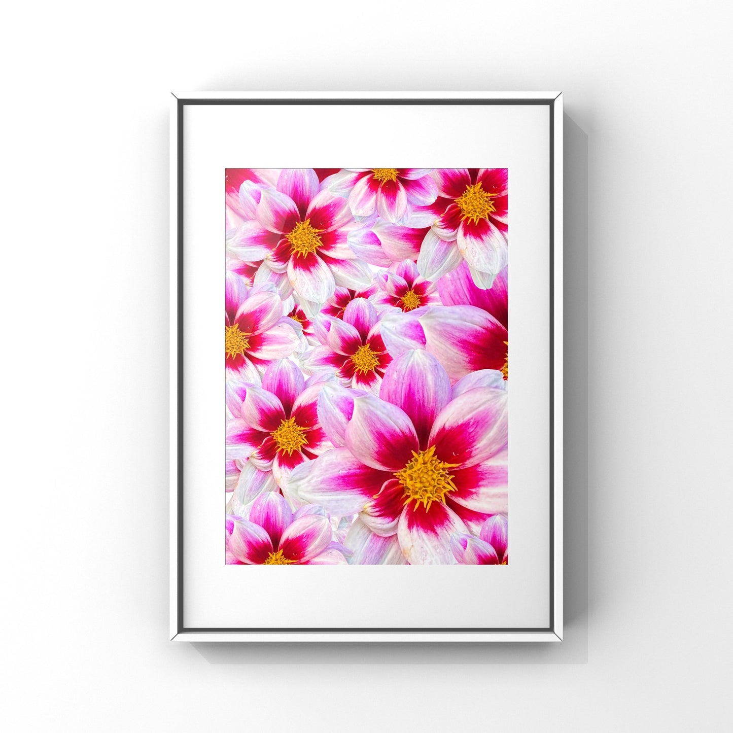 White Dahlias Art Print - for Hospice