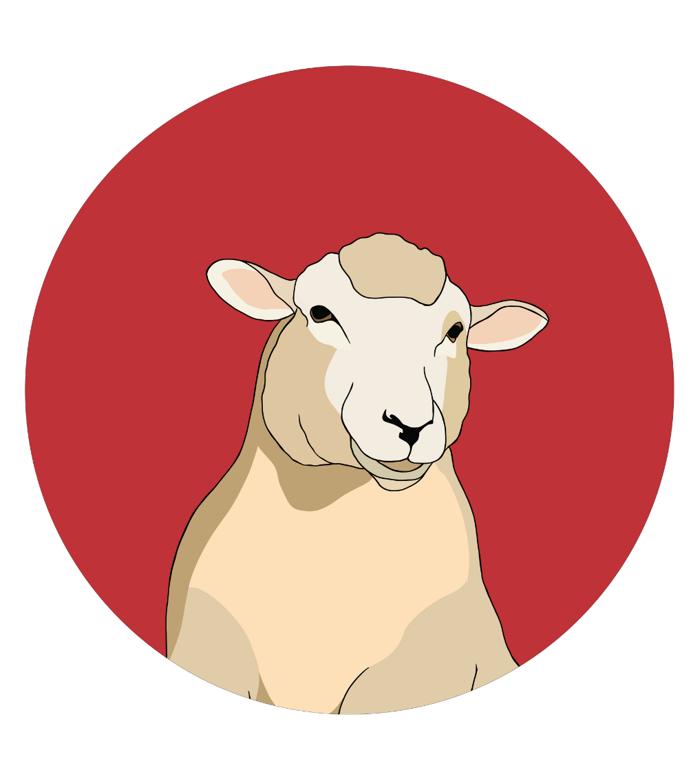 Steve the Sheep Magnet