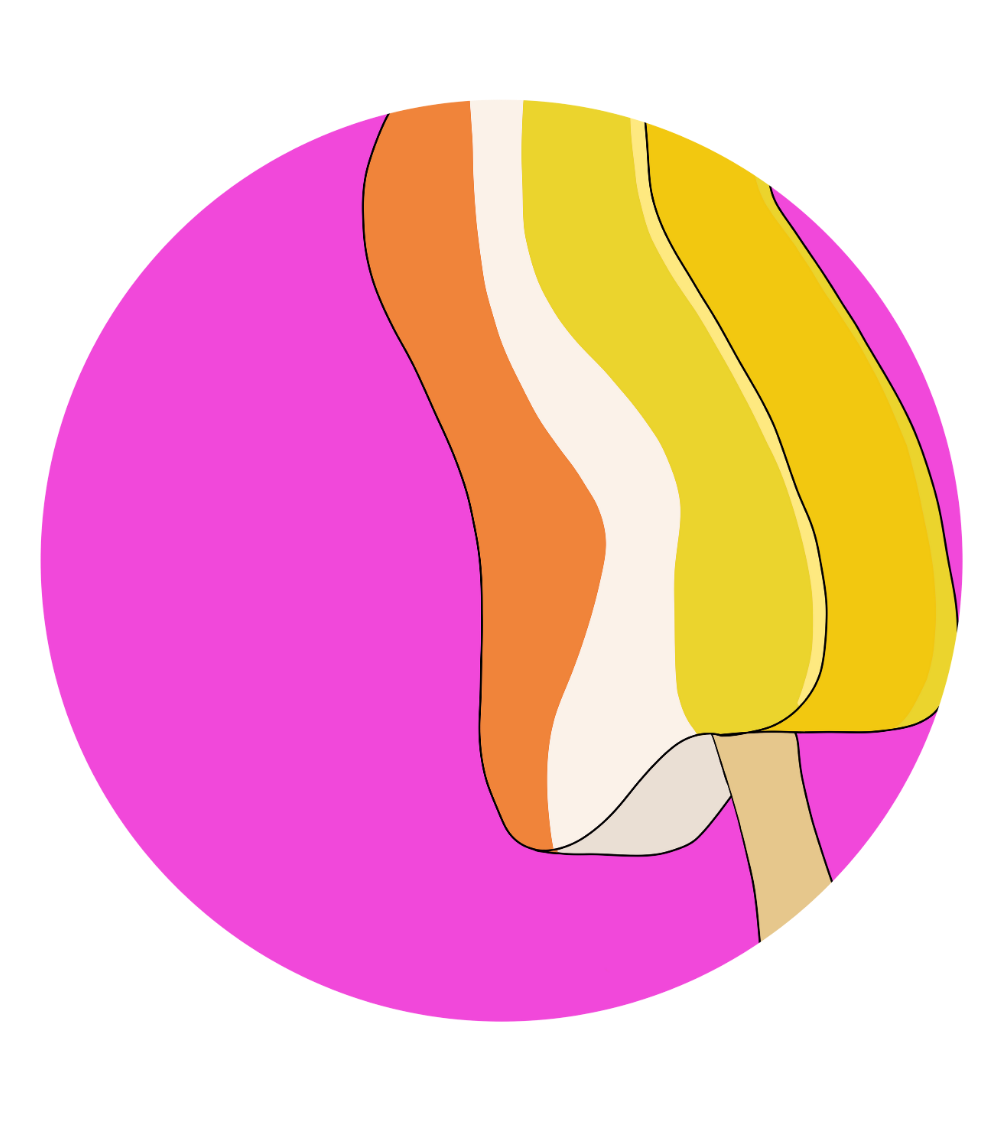 Tropical Snow Magnets