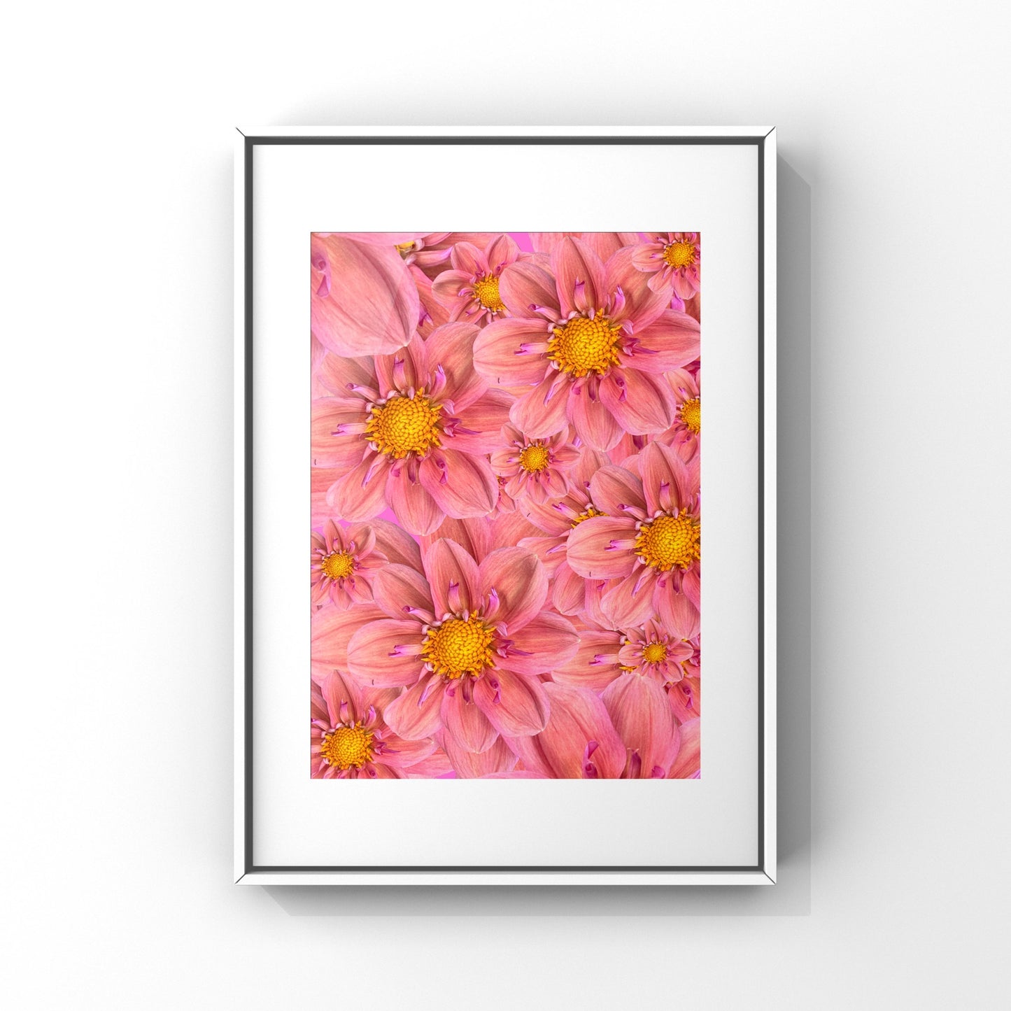 Pink Dahlias Art Print - for Hospice