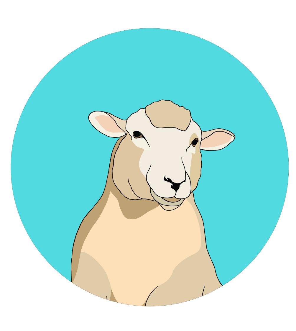 Steve the Sheep Magnet