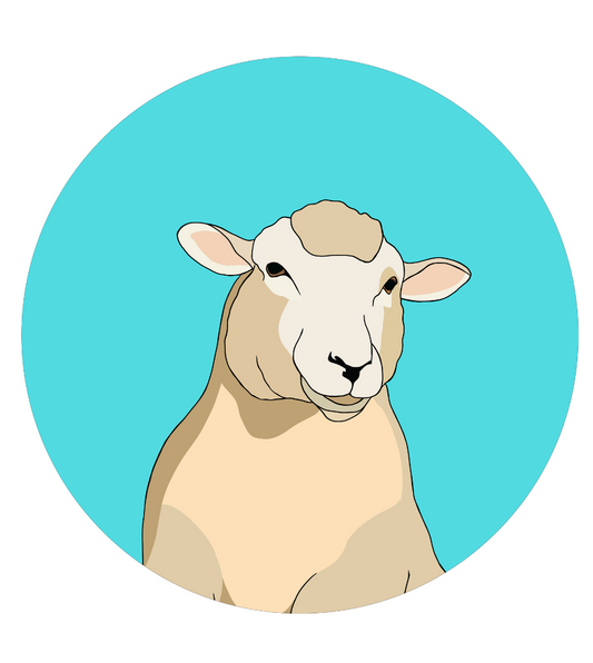 Steve the Sheep Magnet