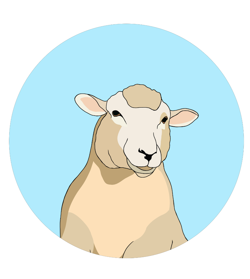 Steve the Sheep Magnet