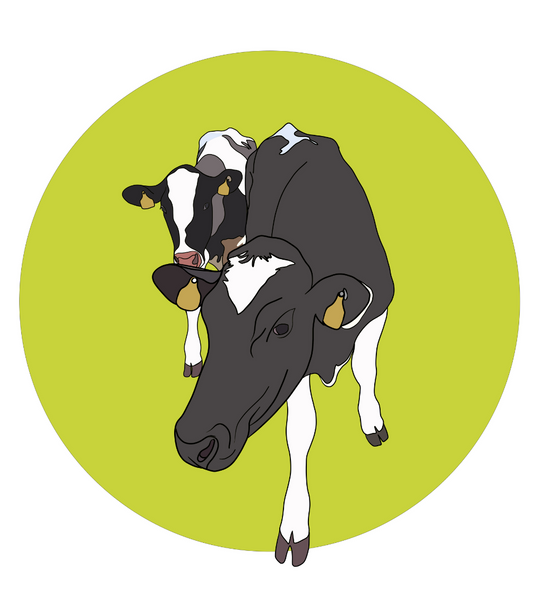 Daisy & Maisy the Cows Magnet