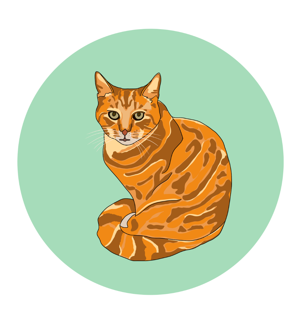 Philip the Cat Magnets