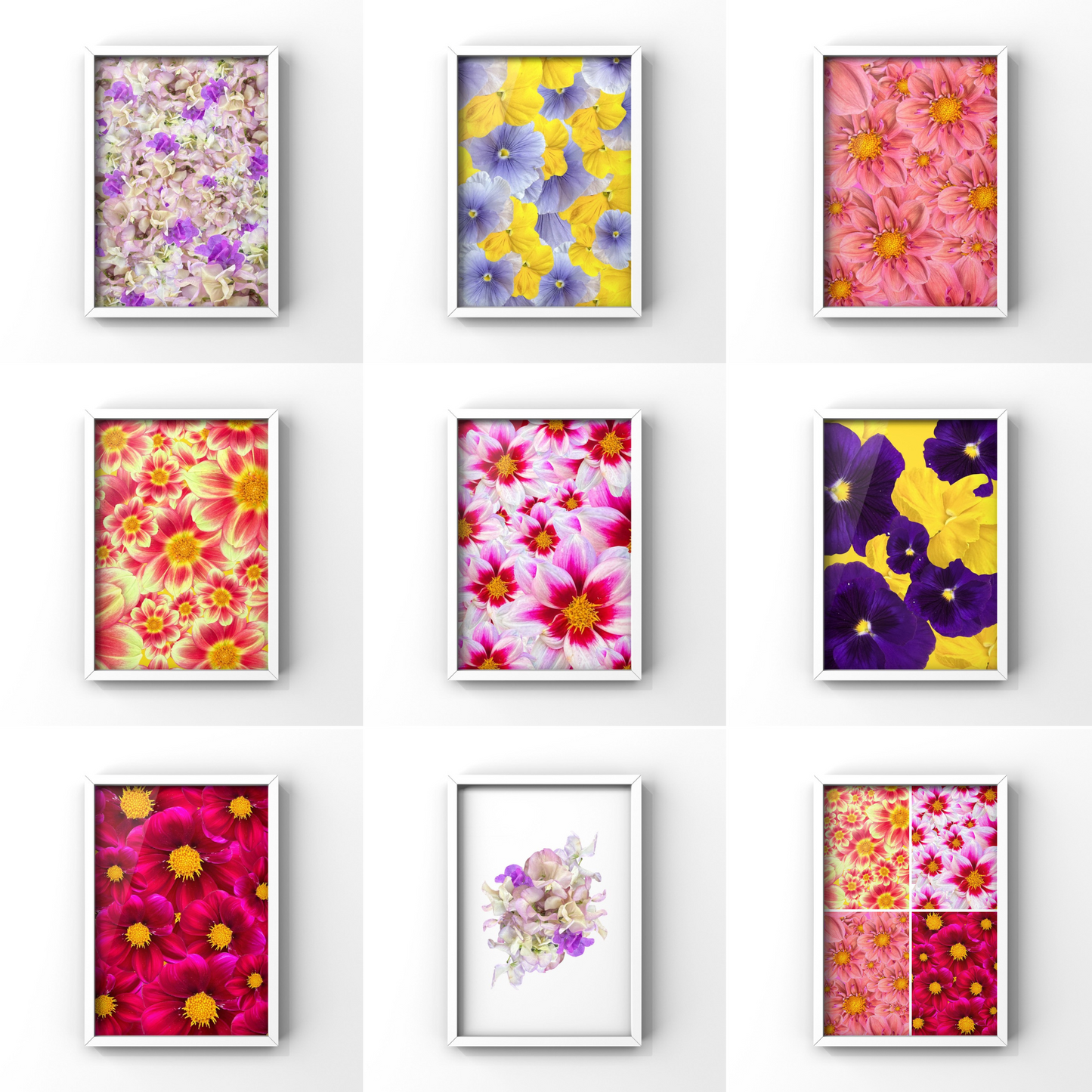 The Mini's Framed Art Prints - for Hospice