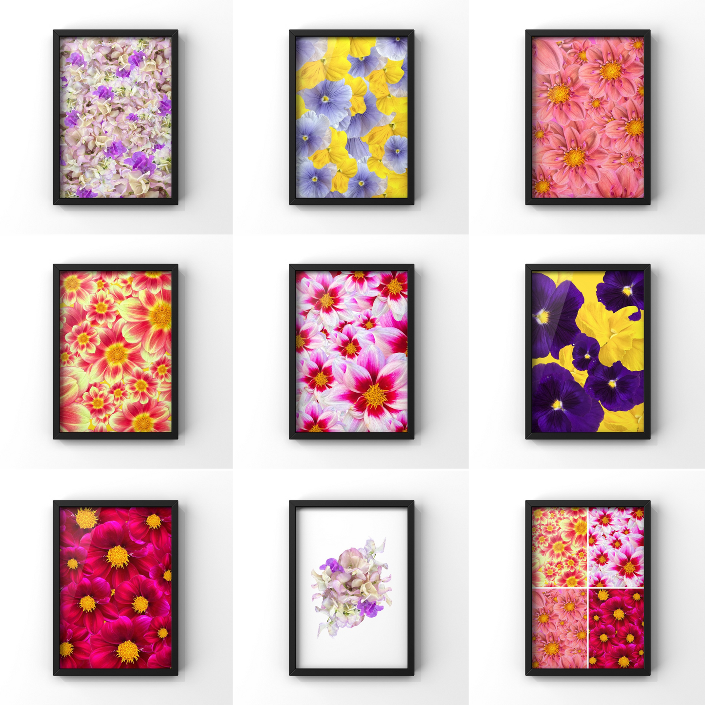 The Mini's Framed Art Prints - for Hospice
