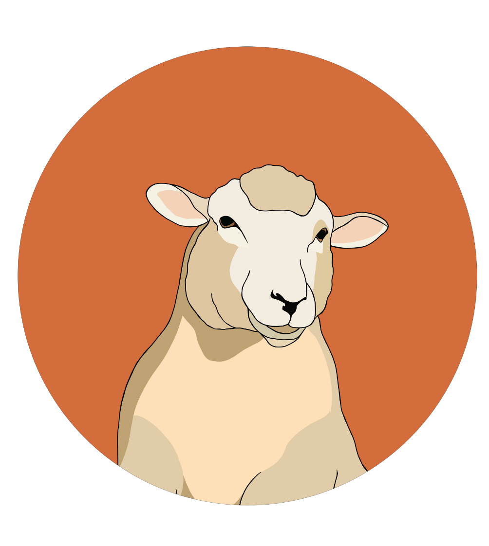 Steve the Sheep Magnet