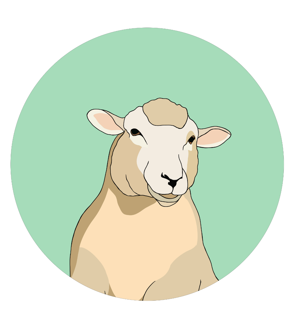 Steve the Sheep Magnet