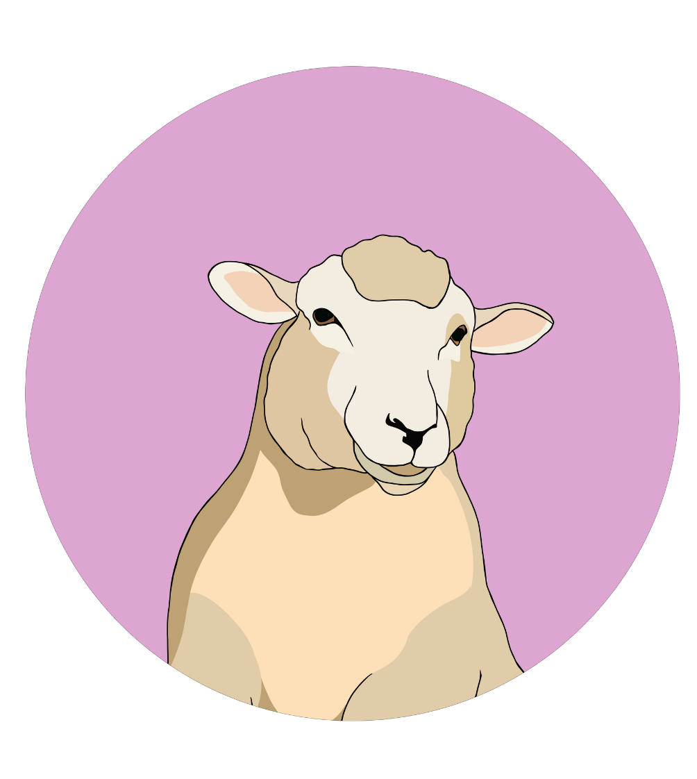 Steve the Sheep Magnet