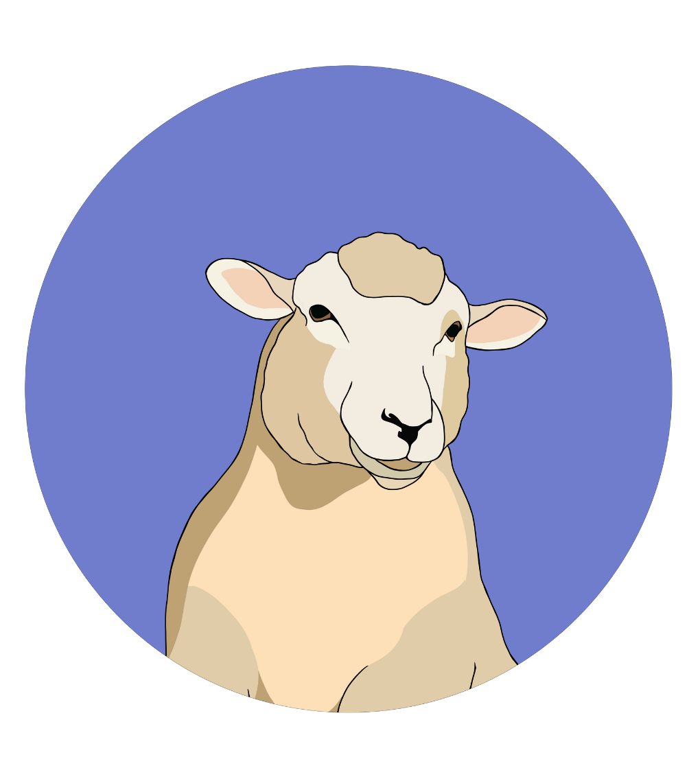 Steve the Sheep Magnet