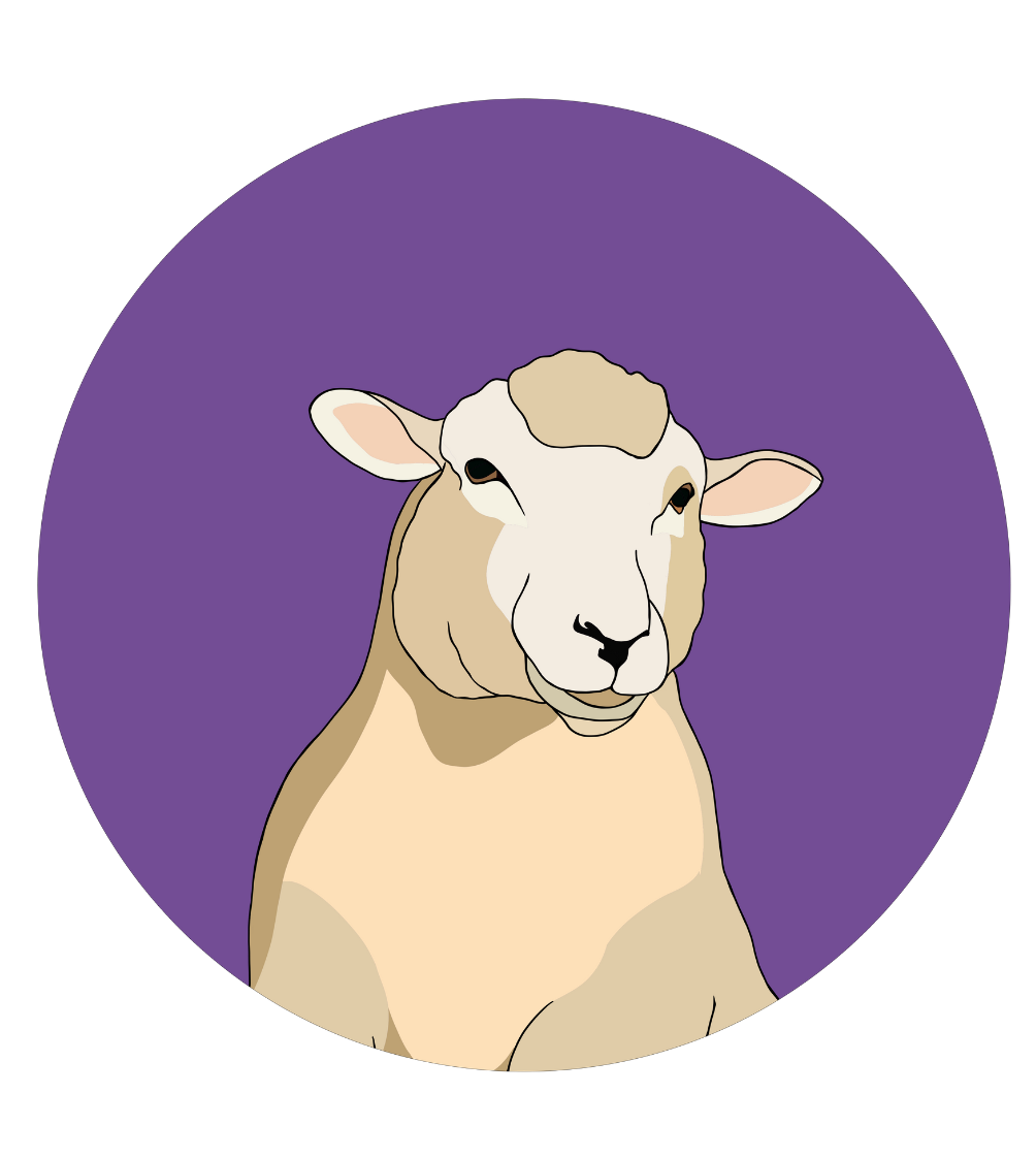 Steve the Sheep Magnet