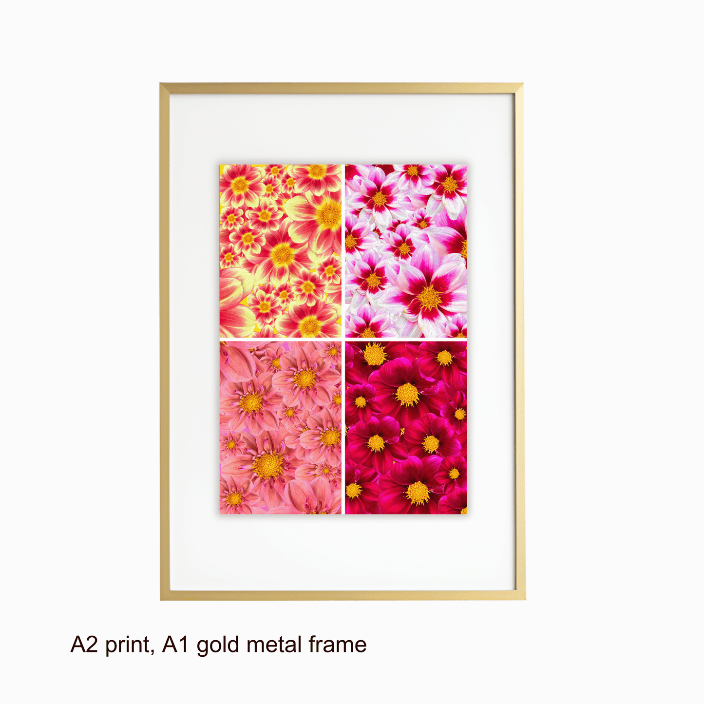 Dahlia Quads Art Print - for Hospice