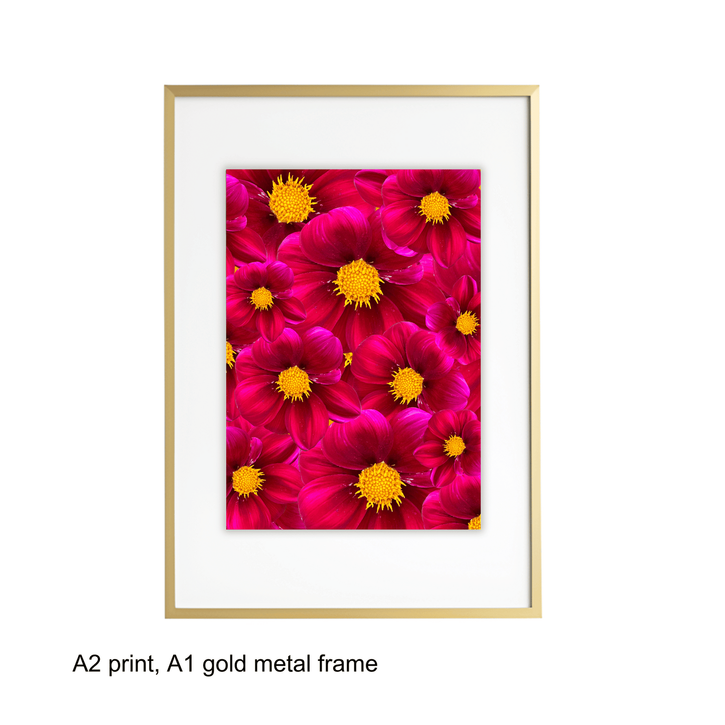 Red Dahlias Art Print - for Hospice