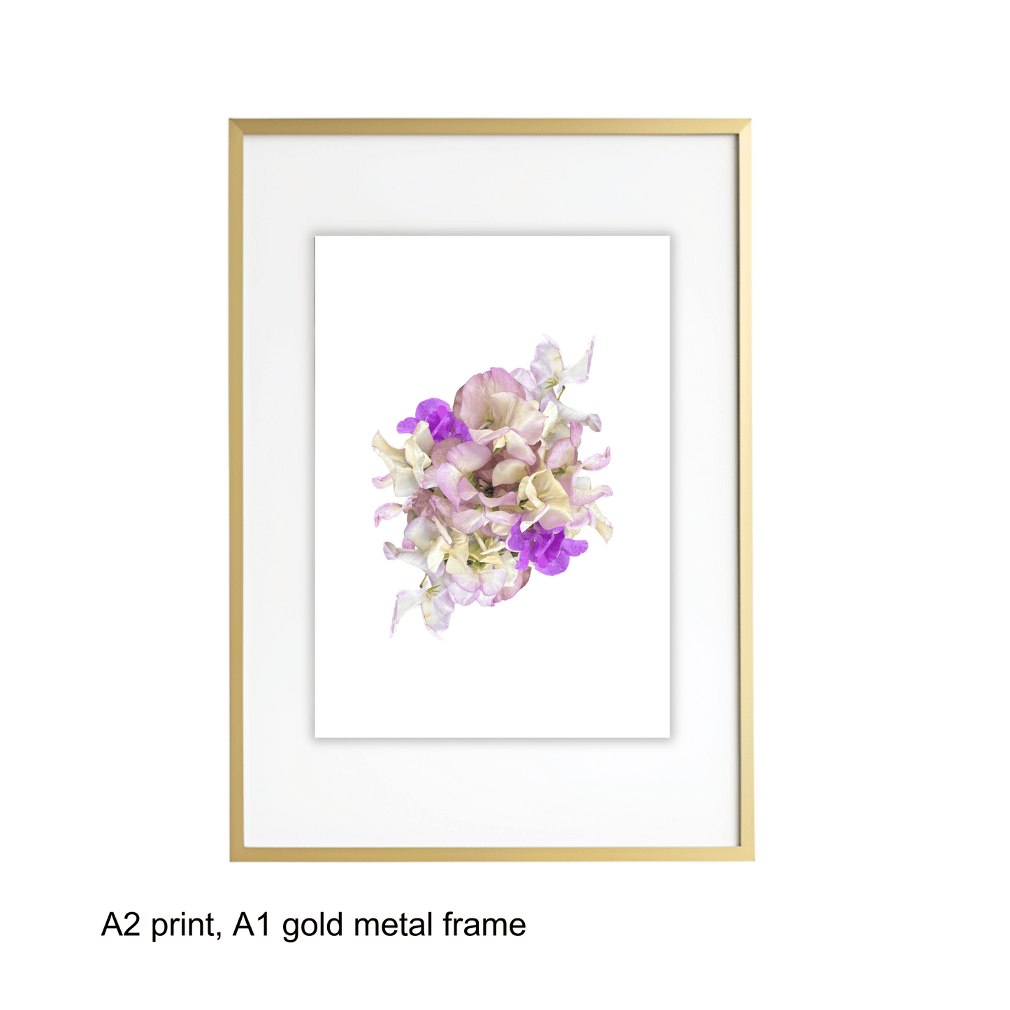 Sweet Pea Art Print - for Hospice