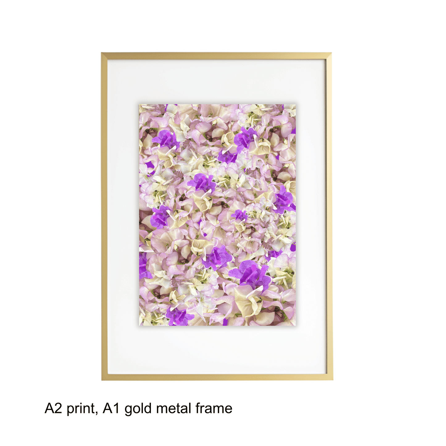 Sweet Pea Fields Art Print - for Hospice