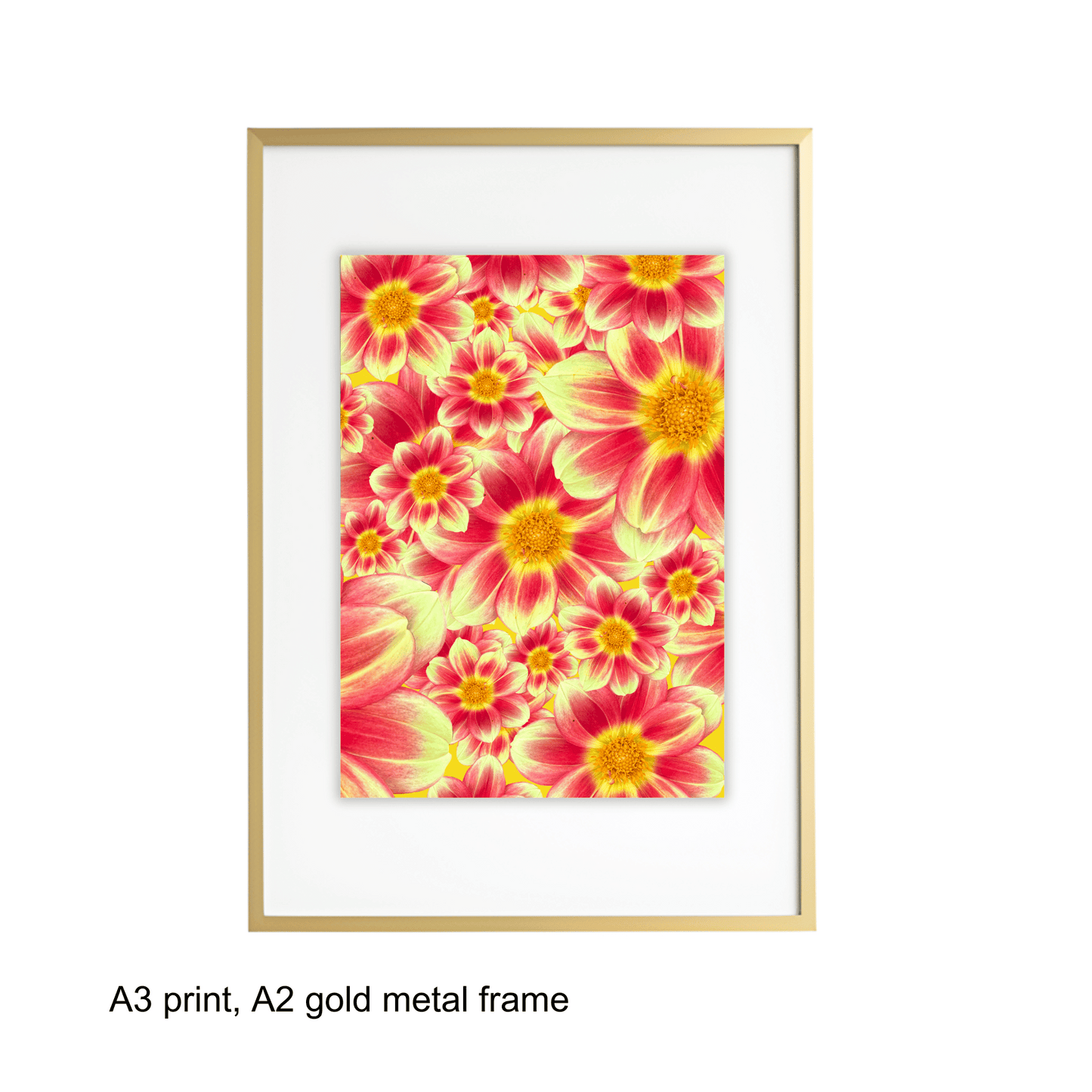 Sunrise Dahlias Art Print - for Hospice