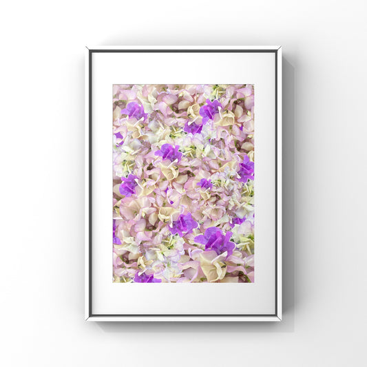 Sweet Pea Fields Art Print - for Hospice
