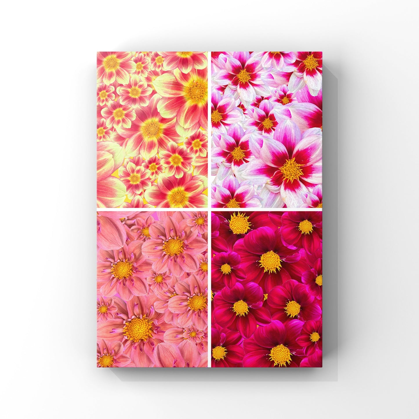 Dahlia Quads Art Print - for Hospice