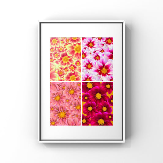 Dahlia Quads Art Print - for Hospice