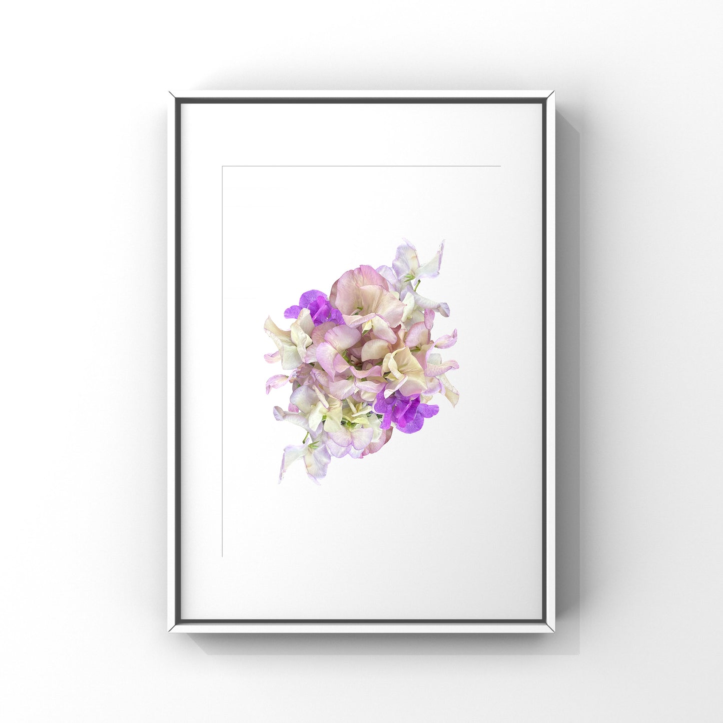 Sweet Pea Art Print - for Hospice