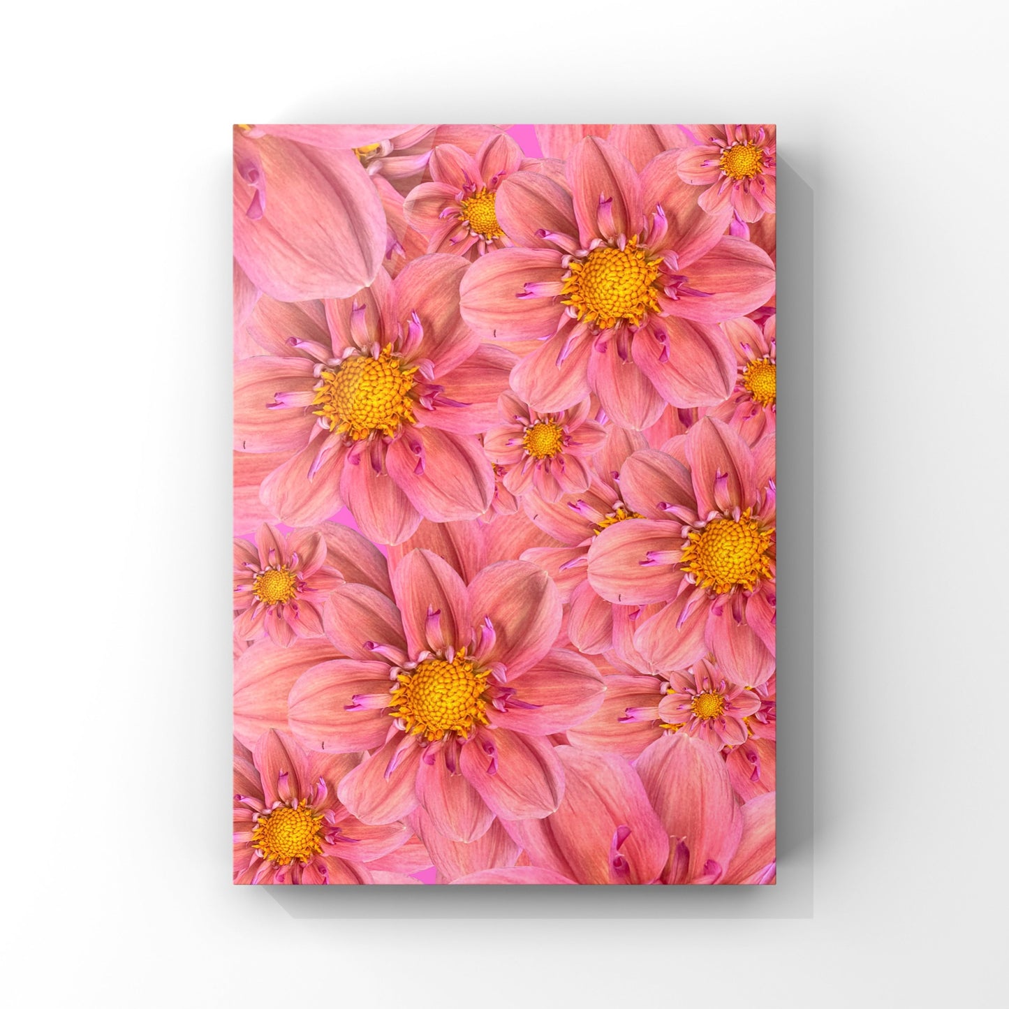 Pink Dahlias Art Print - for Hospice