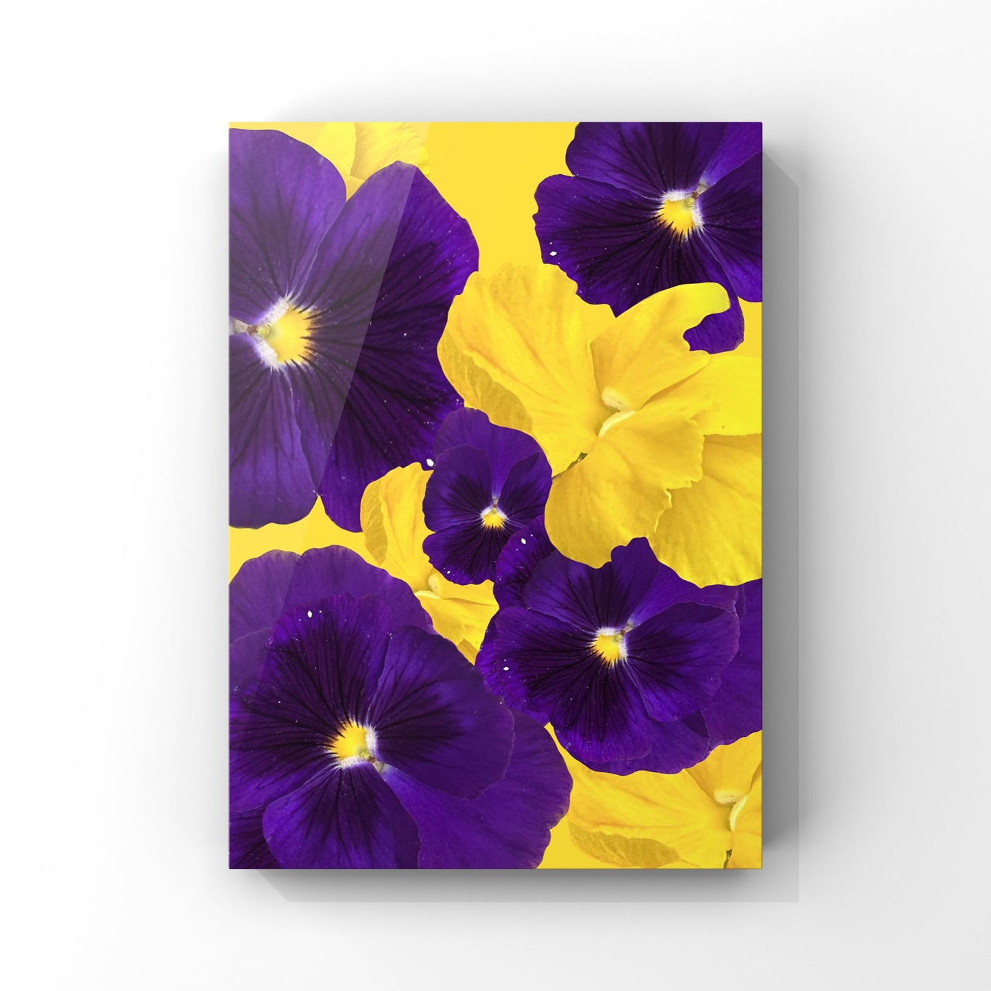 Purple Violas Art Print - for Hospice