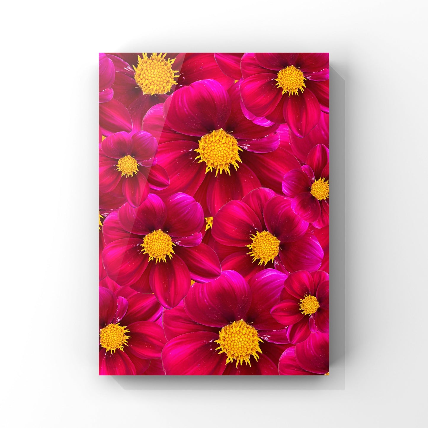 Red Dahlias Art Print - for Hospice