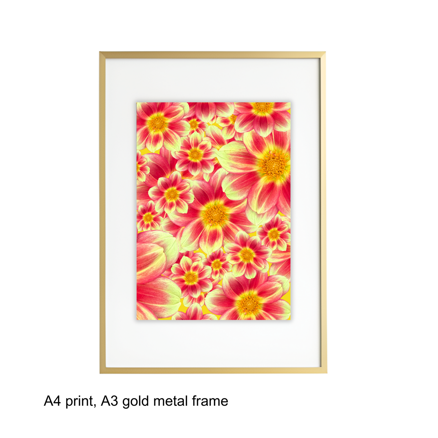 Sunrise Dahlias Art Print - for Hospice