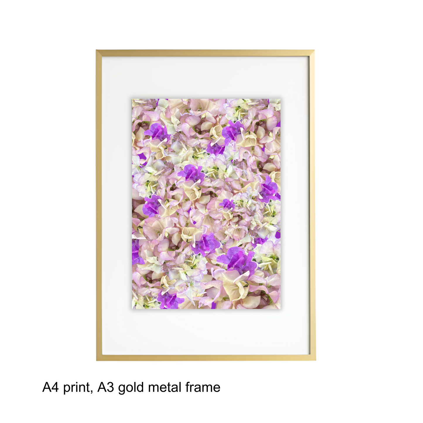 Sweet Pea Fields Art Print - for Hospice