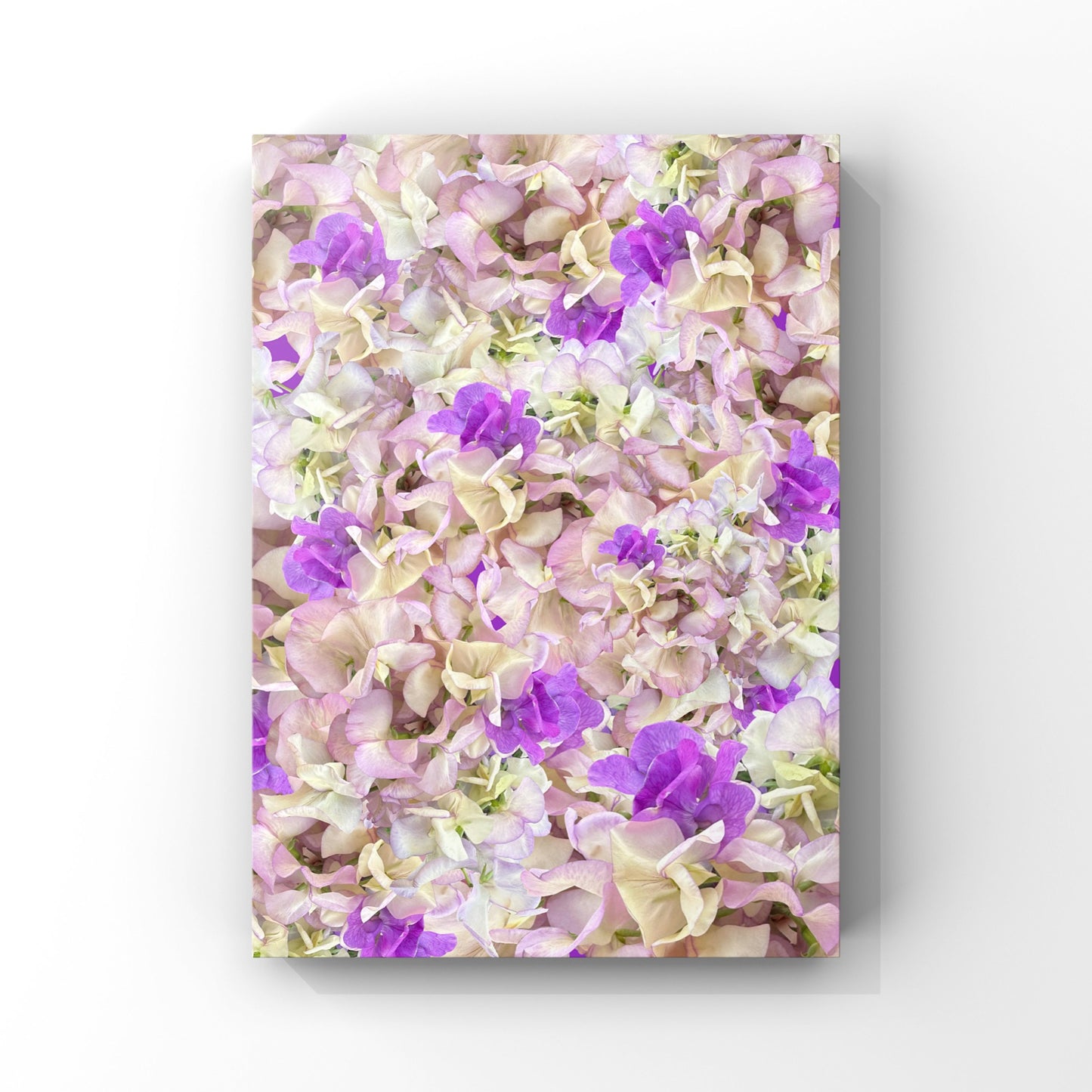 Sweet Pea Fields Art Print - for Hospice