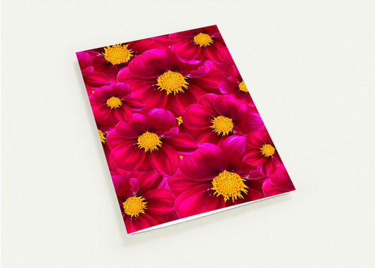 Red Dahlias Card - for Hospice