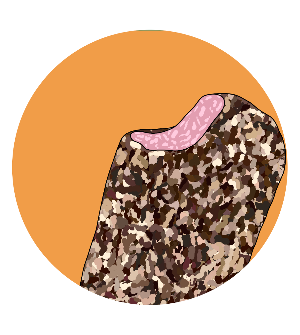 Rocky Road Magnets