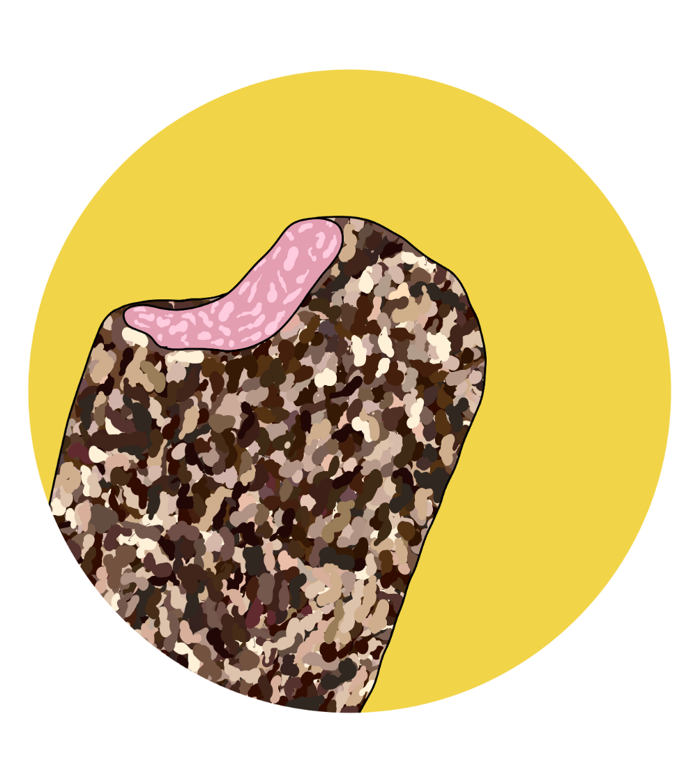 Rocky Road Magnets