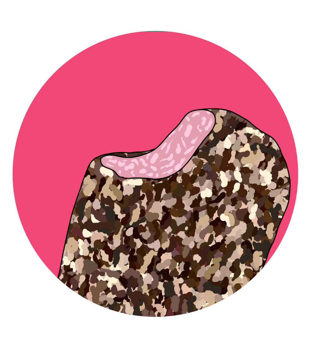 Rocky Road Magnets