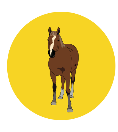 Fabian the Horse Magnets