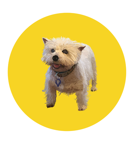 Mandy the Westie Magnets
