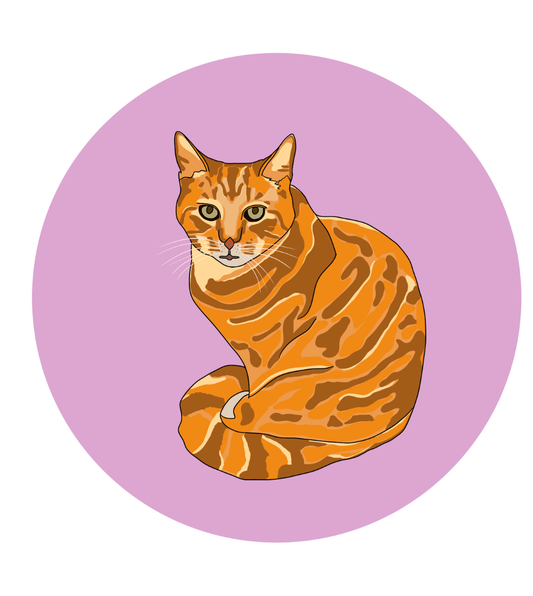 Philip the Cat Magnets