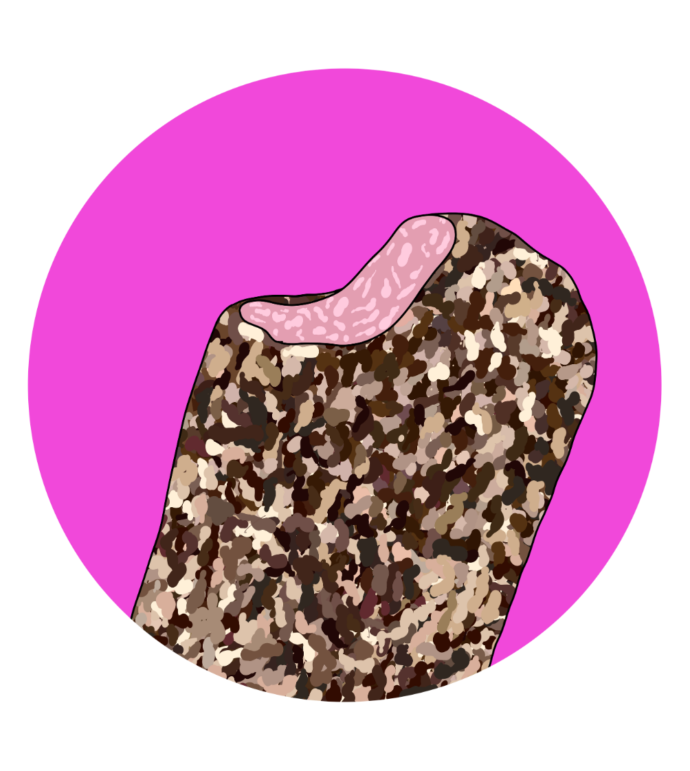 Rocky Road Magnets