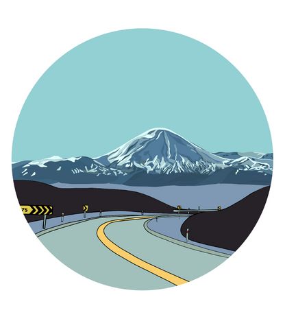 Mt Ruapehu Magnets