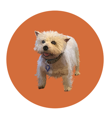 Mandy the Westie Magnets