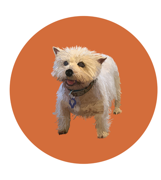 Mandy the Westie Magnets