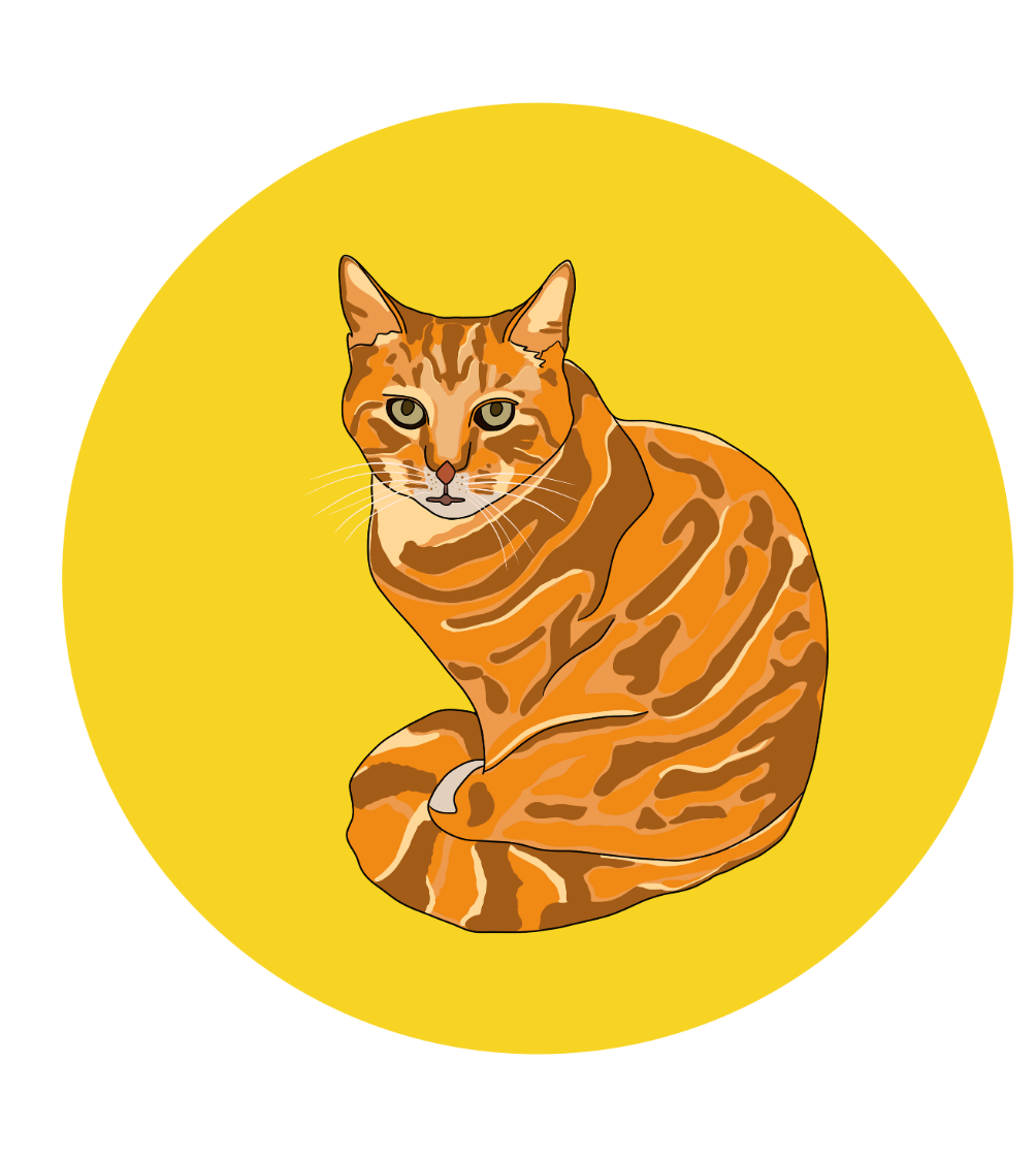 Philip the Cat Magnets