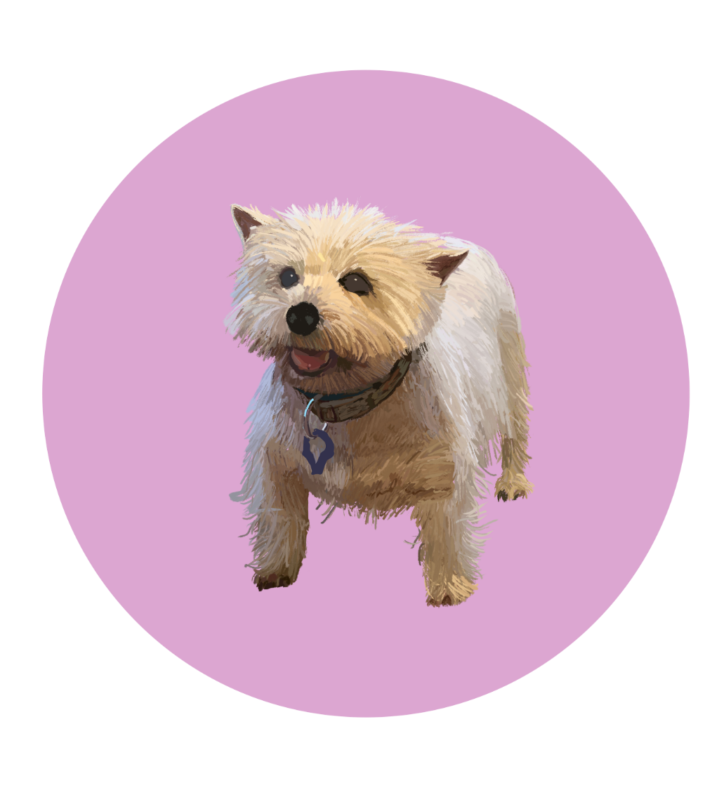 Mandy the Westie Magnets