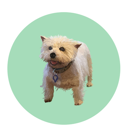 Mandy the Westie Magnets