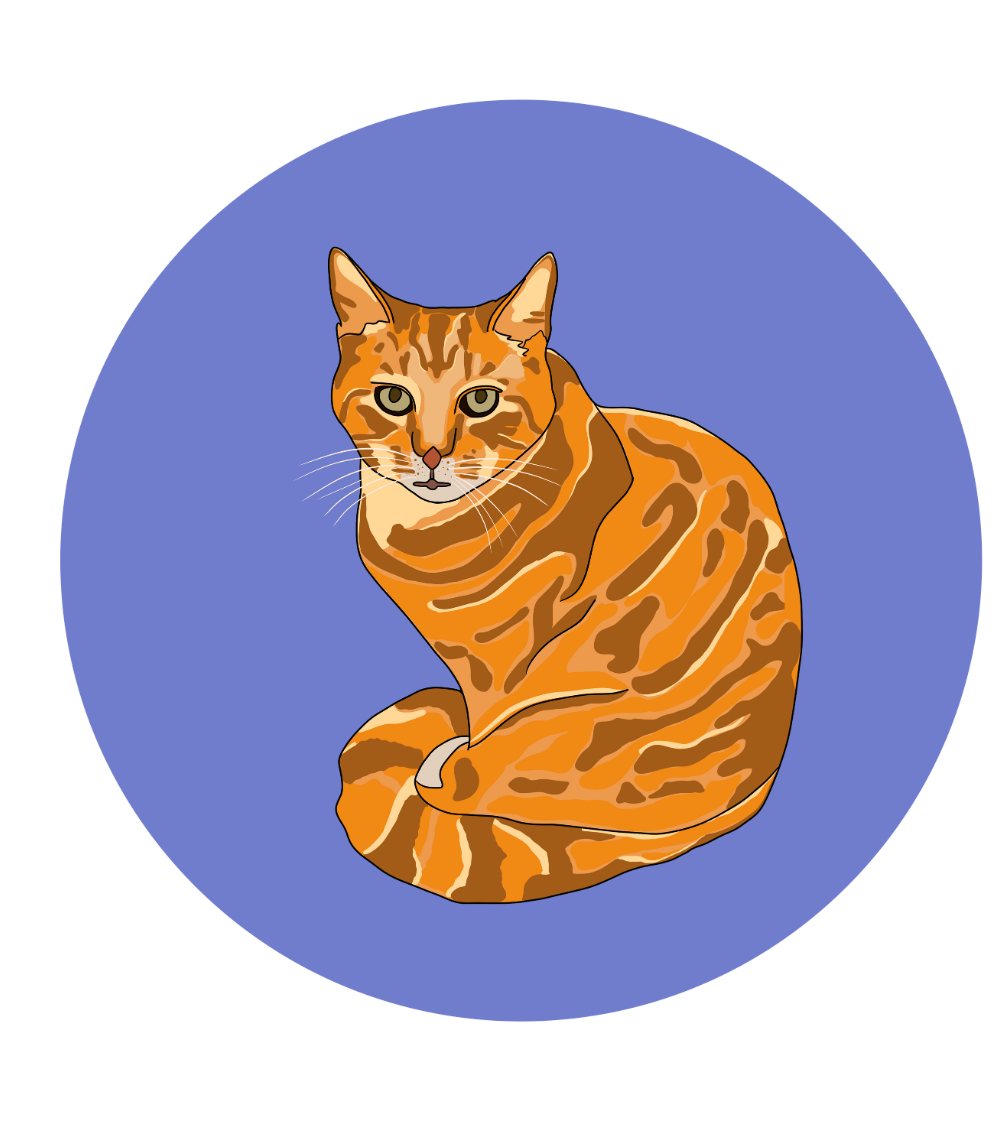 Philip the Cat Magnets