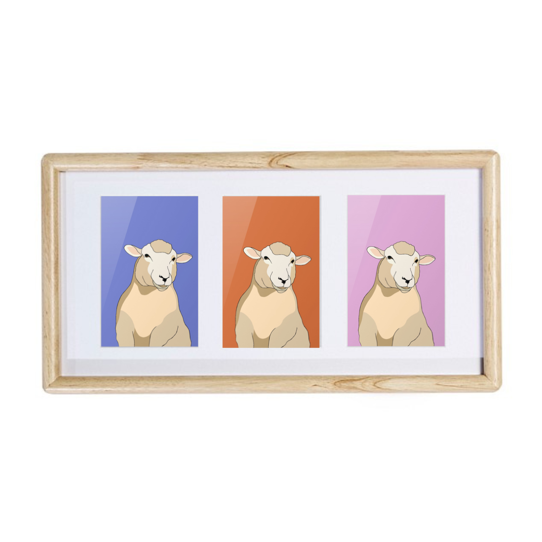 Steve the Sheep Framed Trios