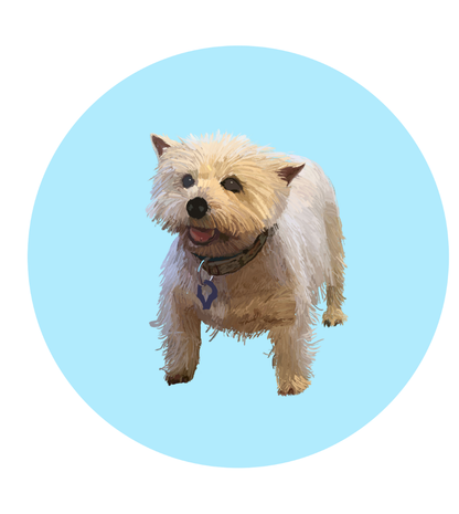 Mandy the Westie Magnets