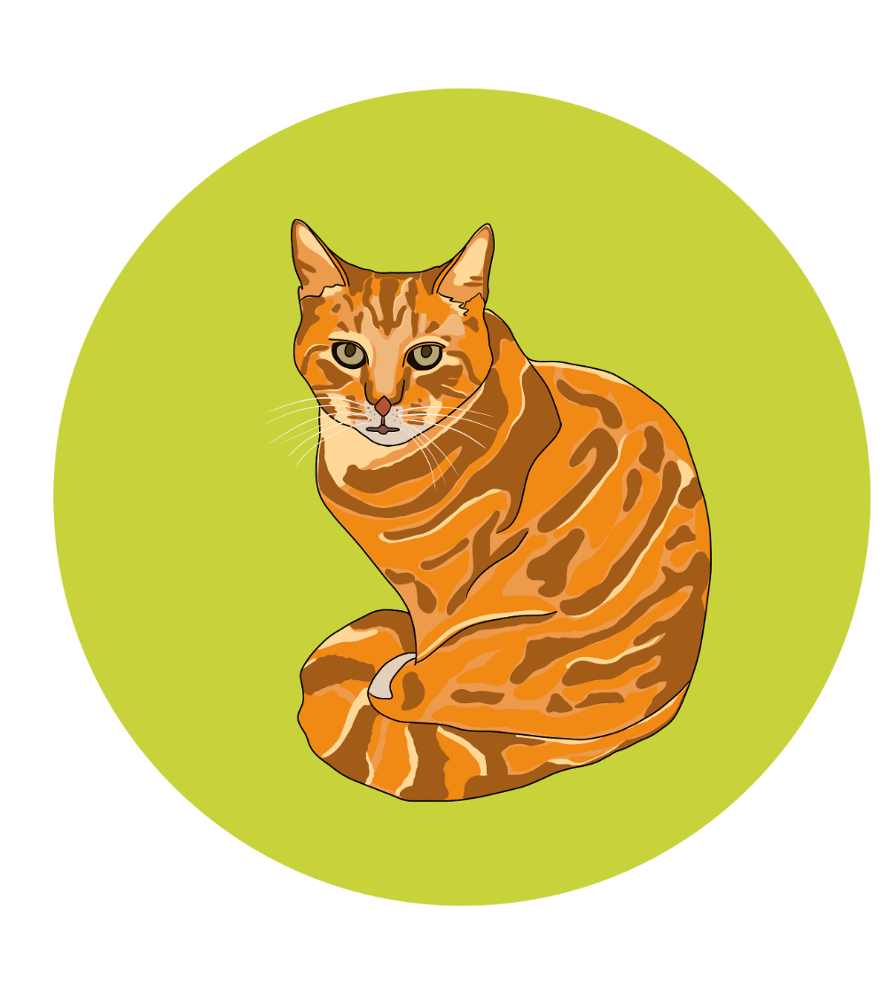 Philip the Cat Magnets