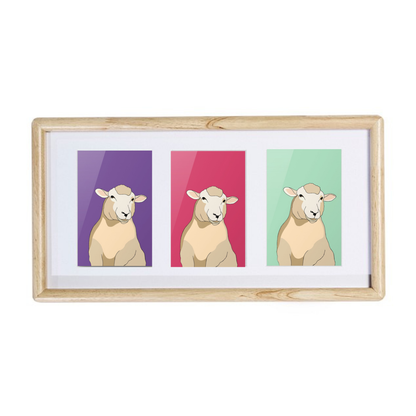 Steve the Sheep Framed Trios